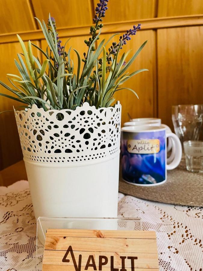 Aplit Guest House Закопане Екстериор снимка